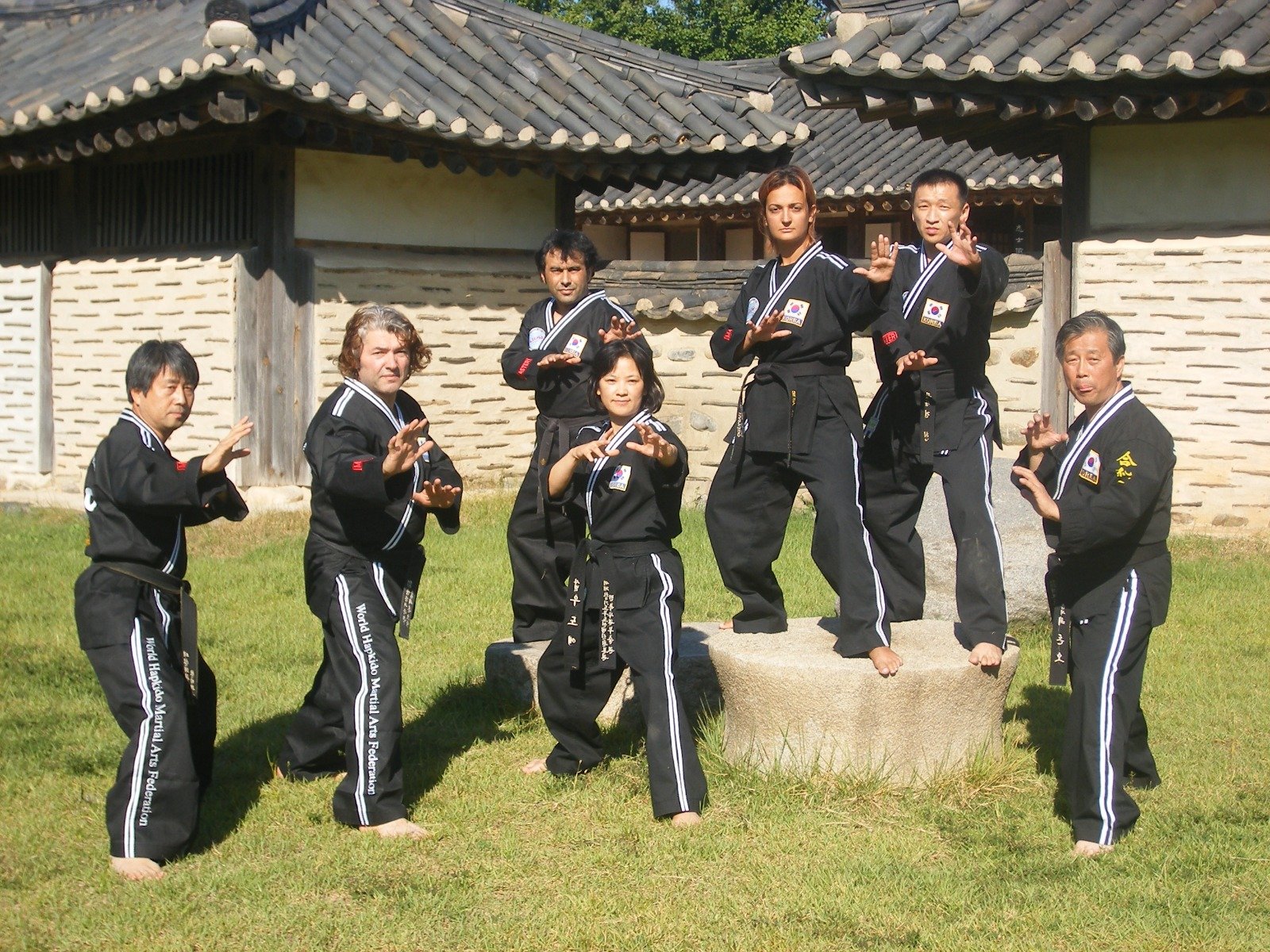 Top 5 Benefits of Hapkido Training for All Ages - 3