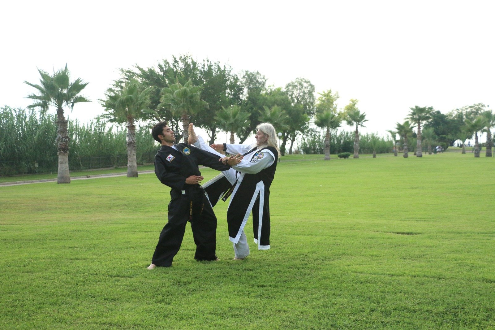 How to Choose the Right Hapkido Dojo: Tips from WAHA Masters - 3